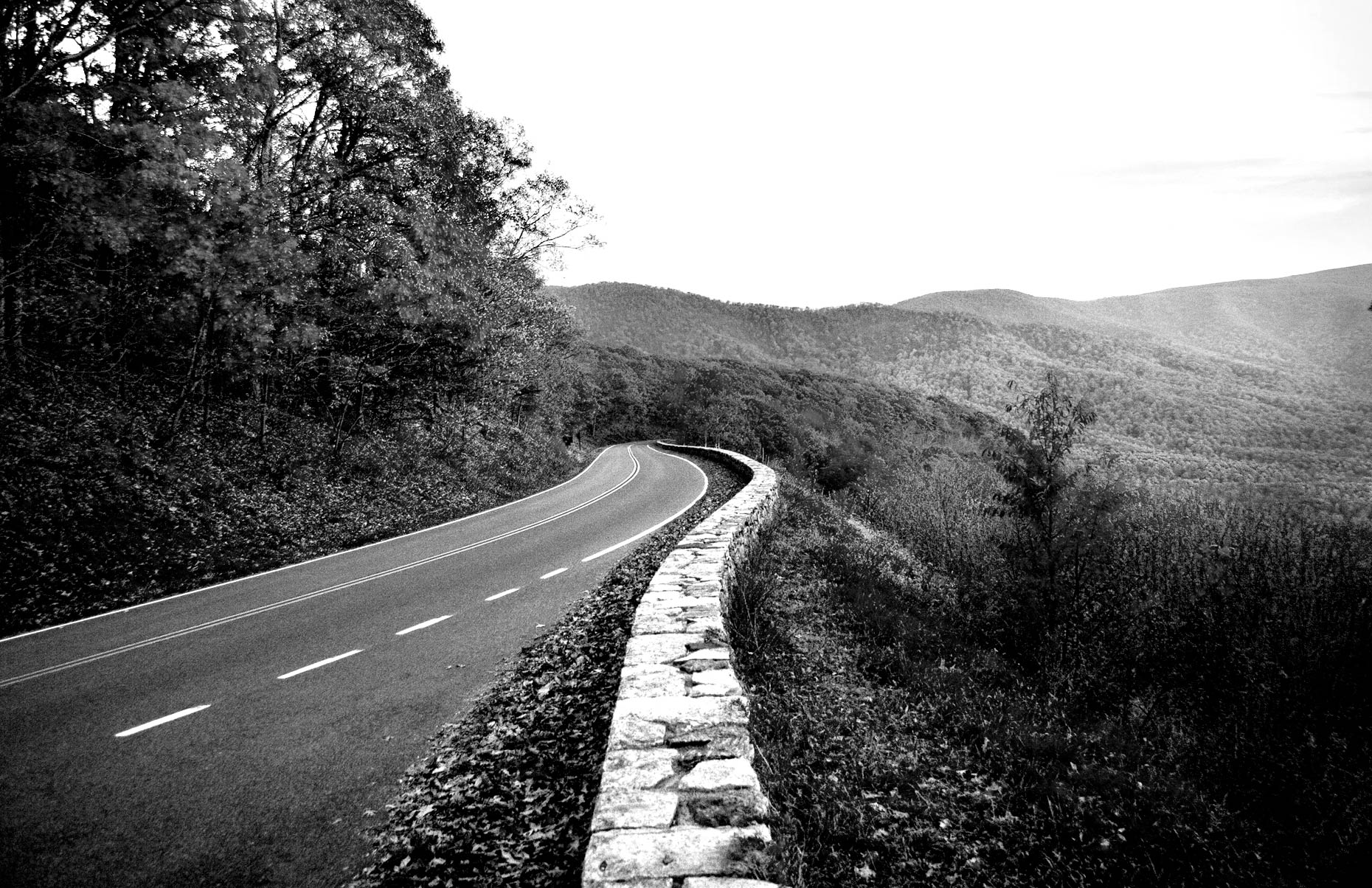 021-virginia-copy