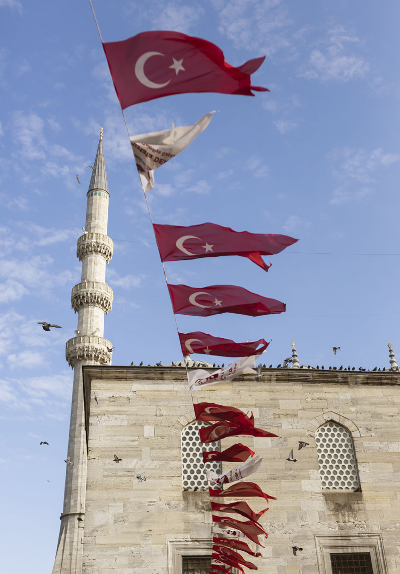 Turkey_2013_Istanbul_Yeni_Cami_1323